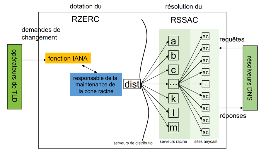 Infographie du RSSAC et du RZERC